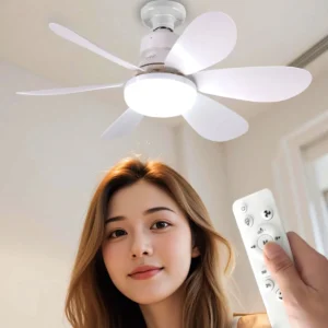 Ceiling Fan Light